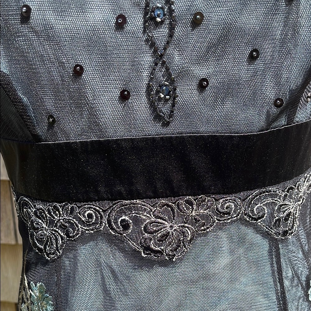 NWT Adriana Papell lace embroidered net sheer dress- gown- Size 10 - Picture 5 of 17